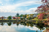 白塔寺(探秘白塔寺：北京的古老文化遗迹)