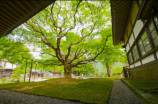 雷锋纪念日手抄报(雷锋纪念日手抄报：纪念雷锋，从身边小事做起！)